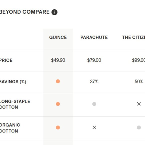 NWOT QUINCE Organic Airy Gauze Box Quilt Sham Set of 2 Standard Olive 5⭐⭐⭐⭐⭐ - Picture 6 of 8